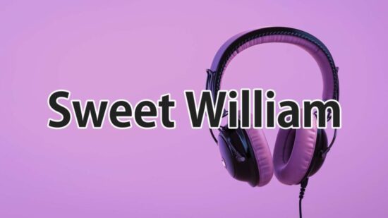 Sweet William(スウィート・ウィリアム)のプロフィールや人気・おすすめ曲を紹介